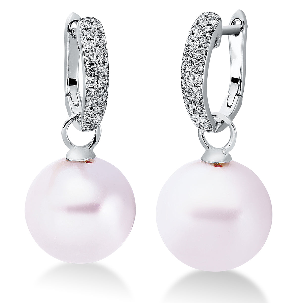 Perle Ohrschmuck - 2N756