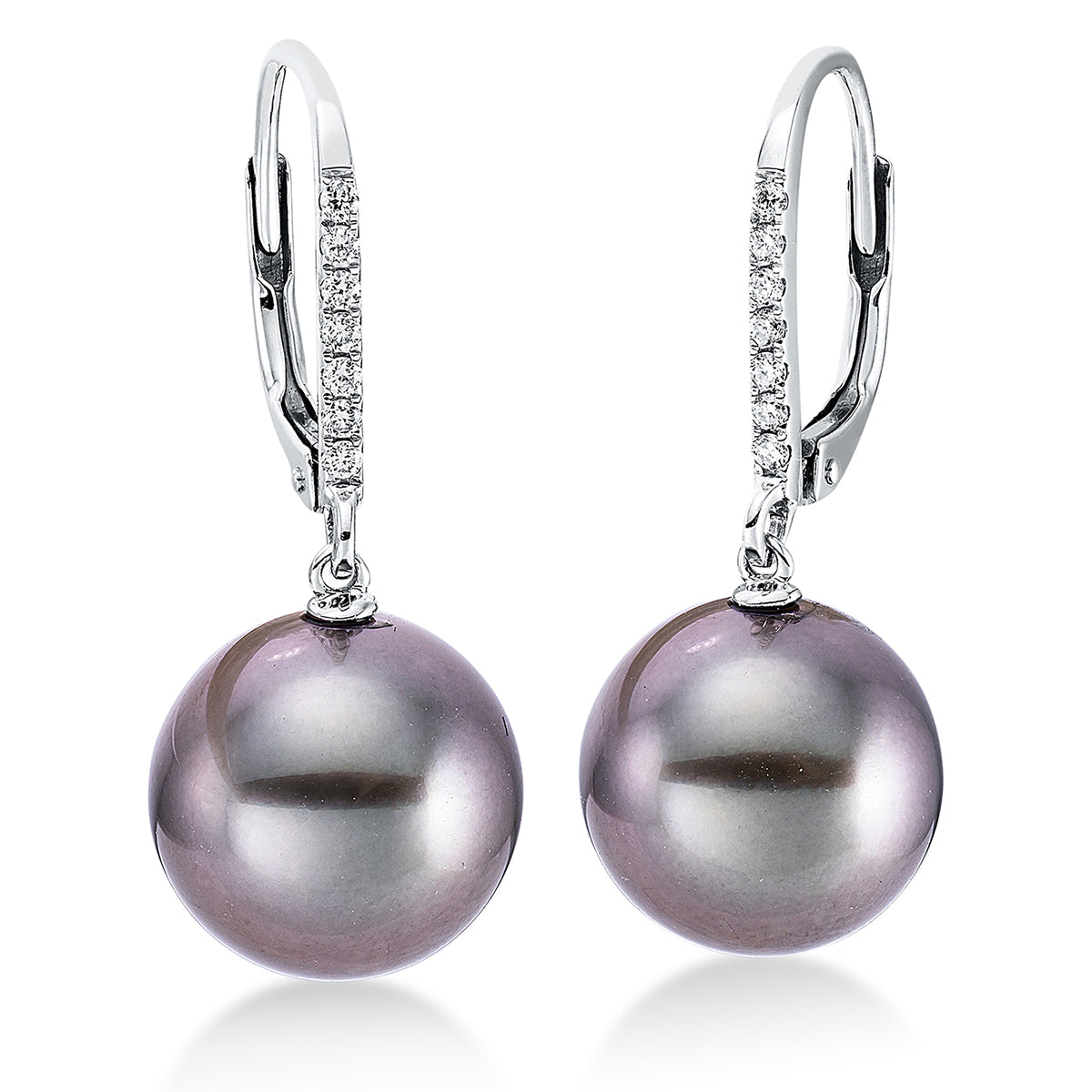 Perle Ohrschmuck - 2N997