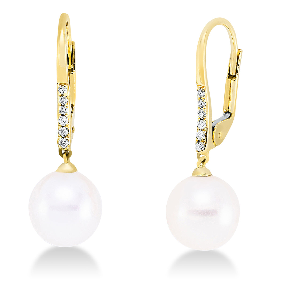 Perle Ohrschmuck - 2Q698