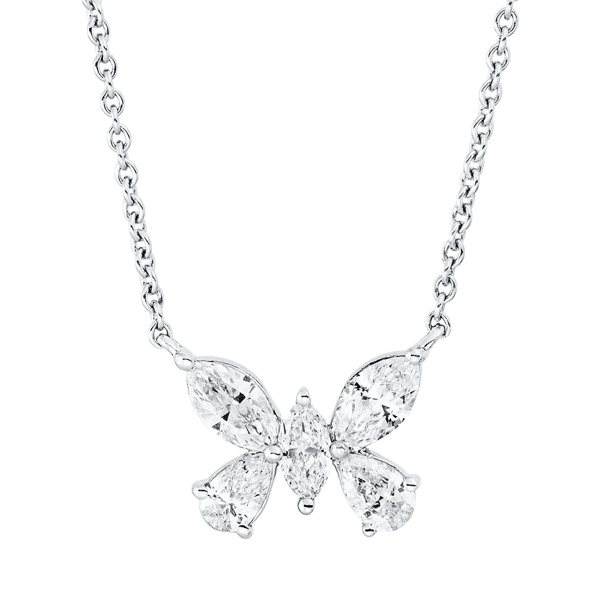 Tier Collier - 4O727