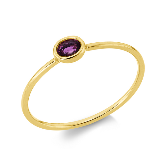 Farbstein Classic Ring - 1GK55