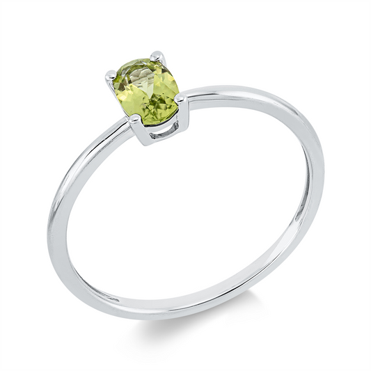 Farbstein Fashion Ring - 1KG63