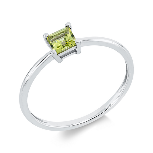 Farbstein Fashion Ring - 1KG70