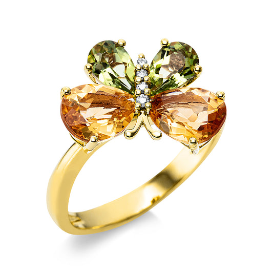 Tier Ring - 1Z418
