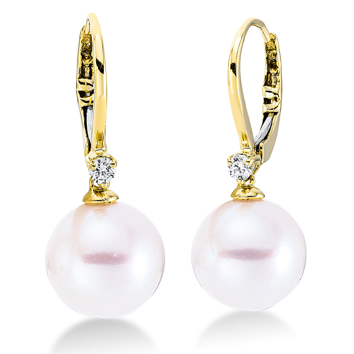 Perle Ohrschmuck - 2A867