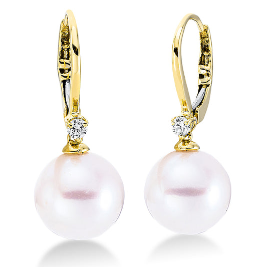 Perle Ohrschmuck - 2A867