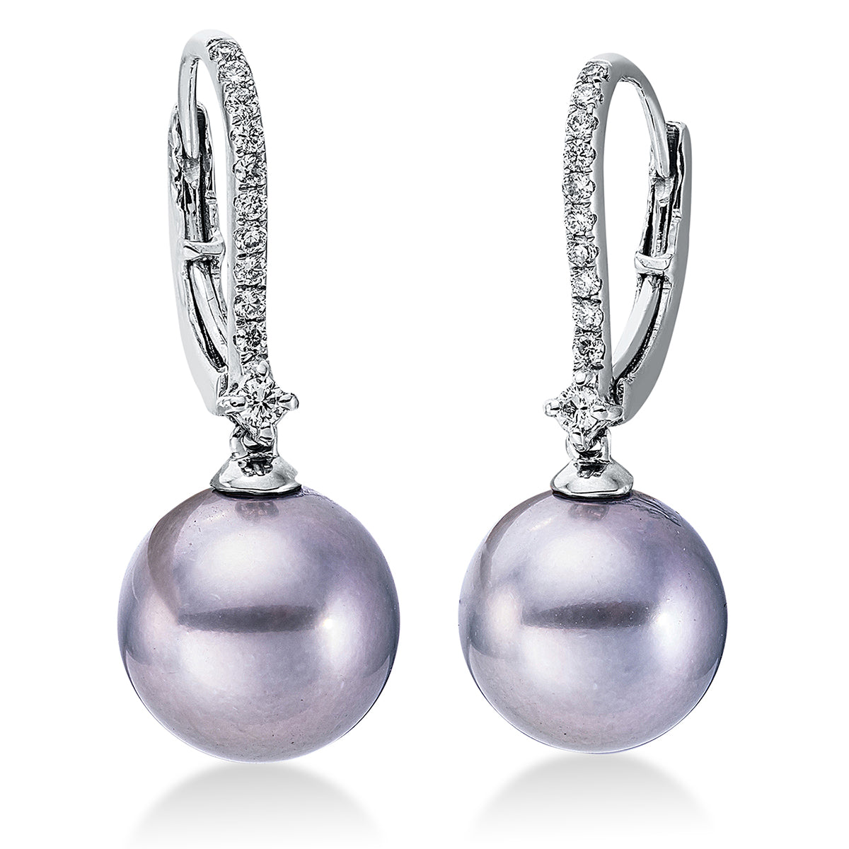 Perle Ohrschmuck - 2N999
