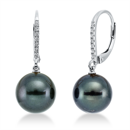 Perle Ohrschmuck - 2O112
