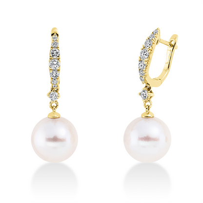 Perle Ohrschmuck - 2P158