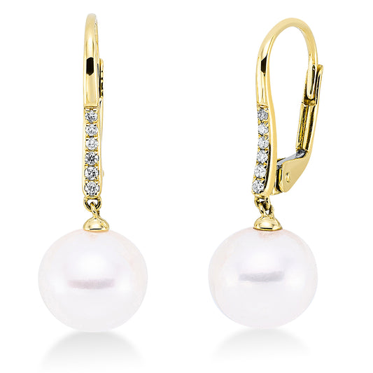 Perle Ohrschmuck - 2Q701