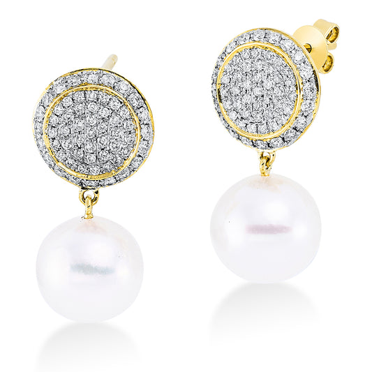 Perle Ohrschmuck - 2Q702