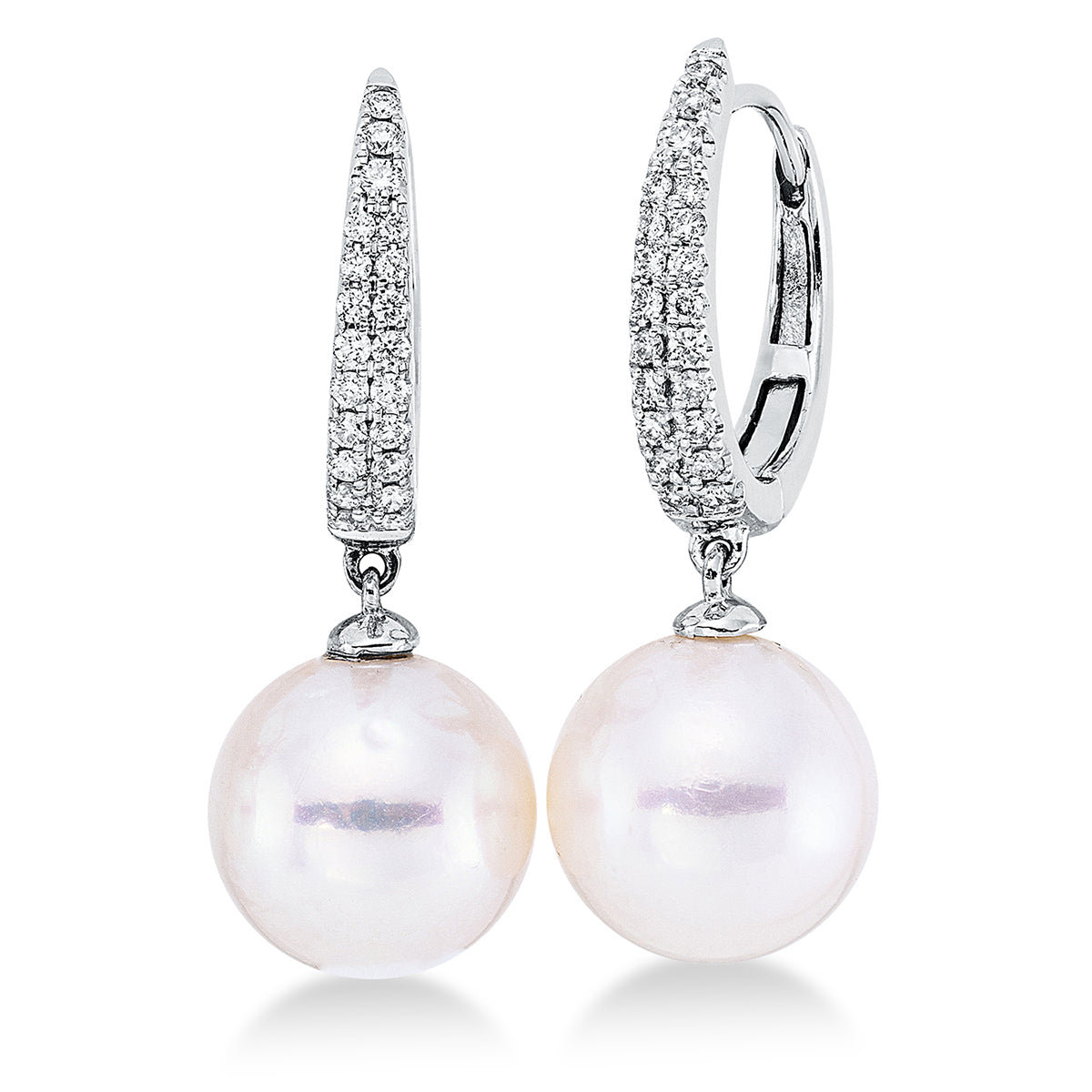 Perle Ohrschmuck - 2Q914