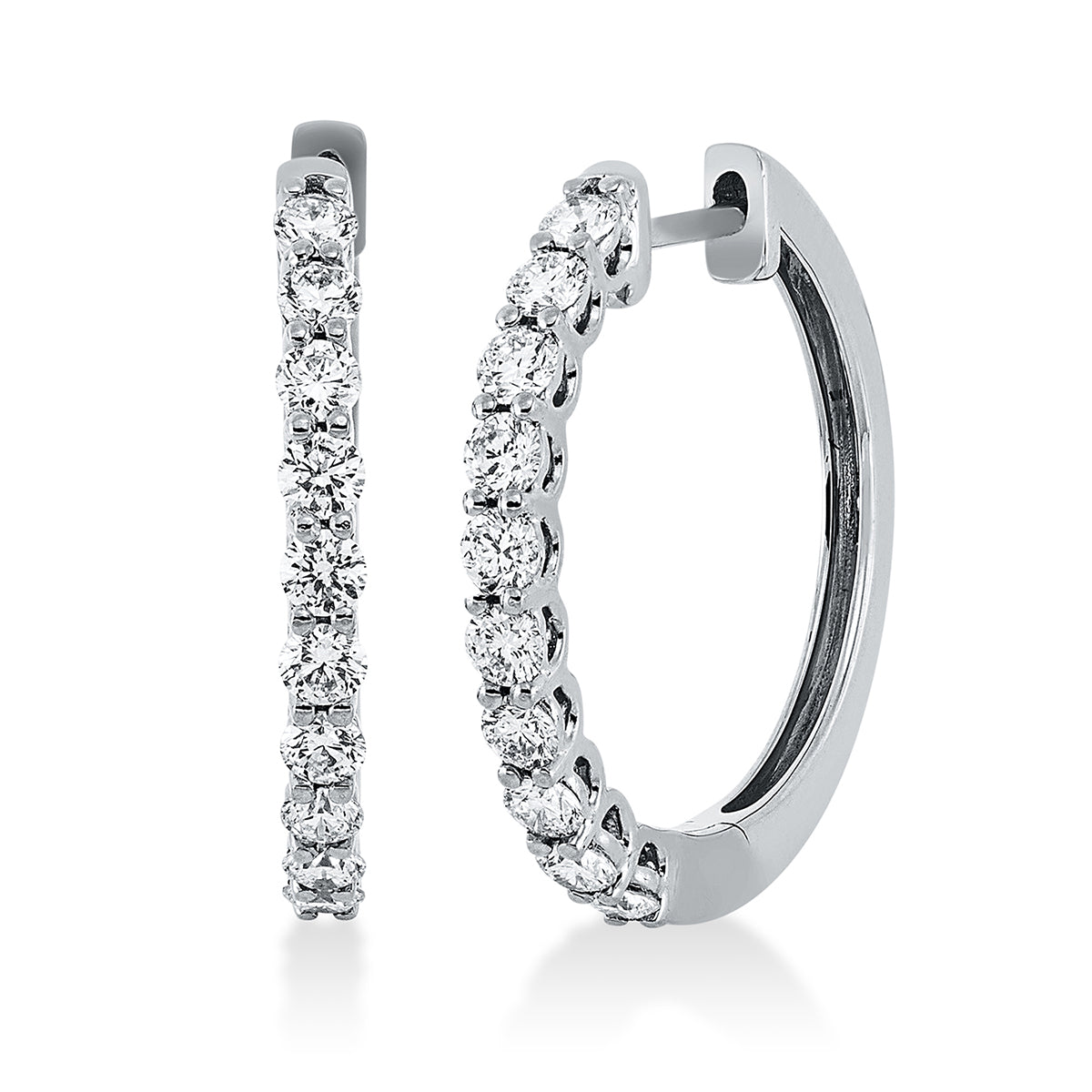 Modern Woman Creolen - 2R106