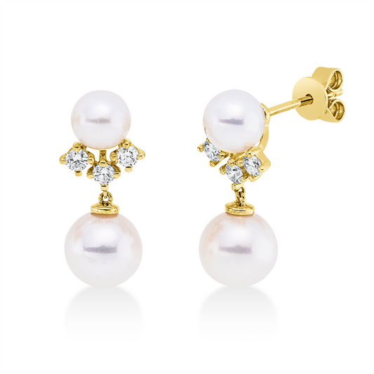 Perle Ohrschmuck - 2V249