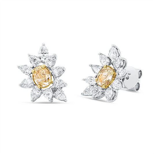 Farbiger Diamant Ohrschmuck - 2V592