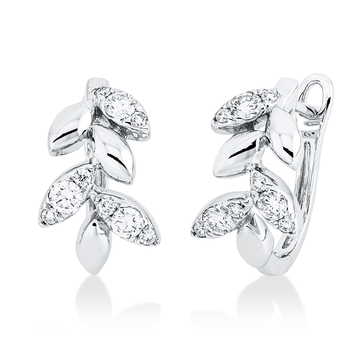 Modern Woman Creolen - 2W889