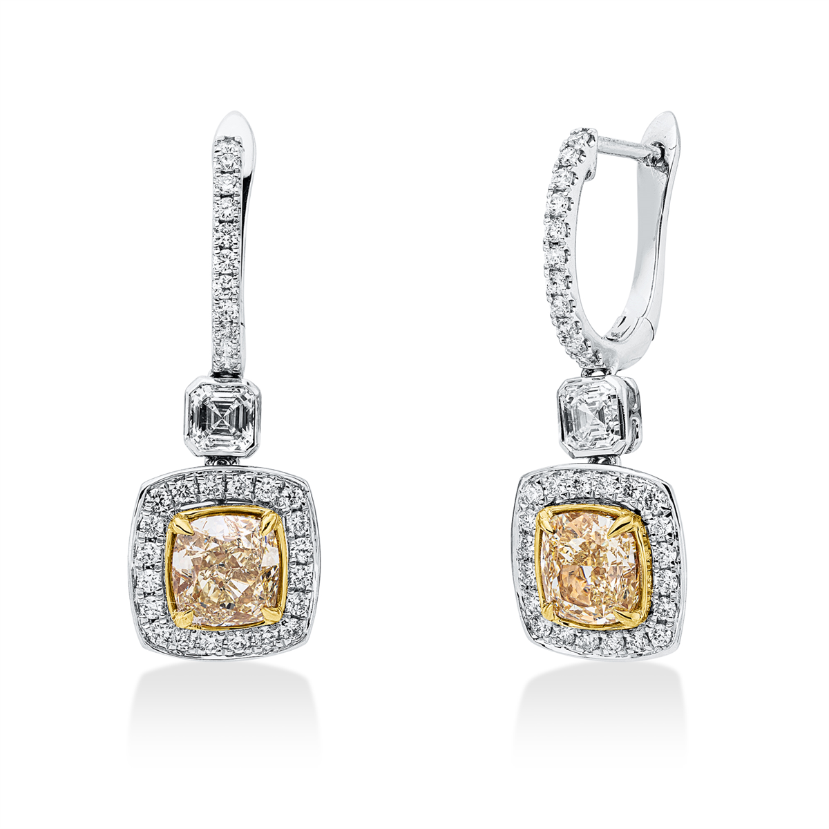 Farbiger Diamant Ohrschmuck - 2Y609