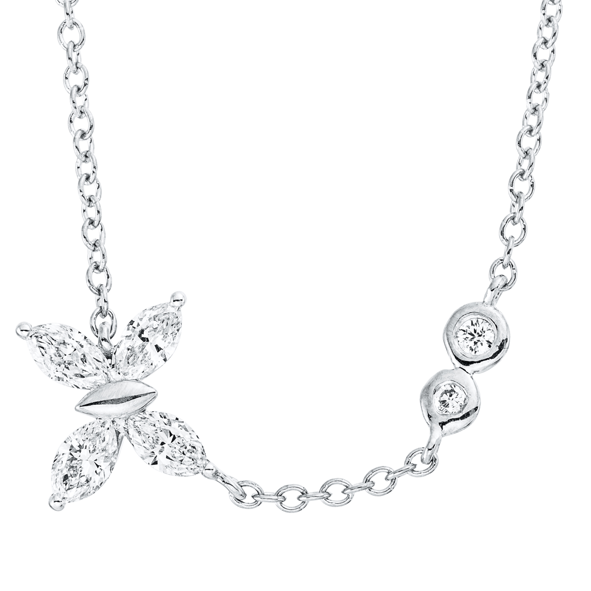 Tier Collier - 4M664