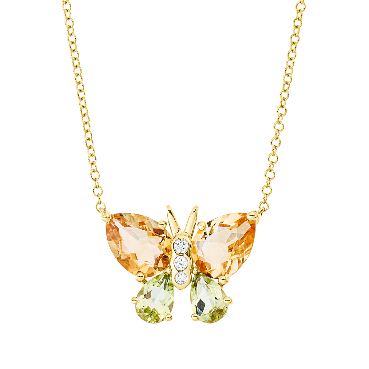 Tier Collier - 4P521